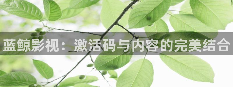 星空影院免费电影在线观看