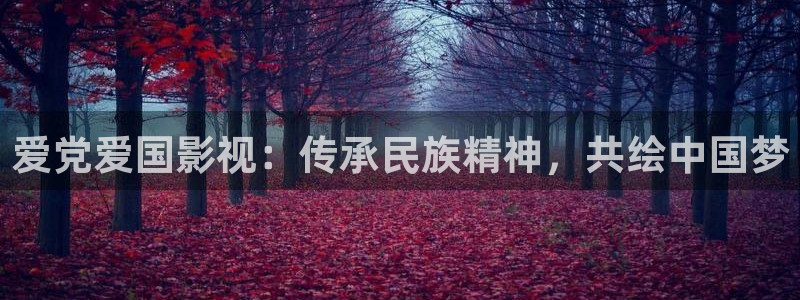 星空星辰影院官网入口